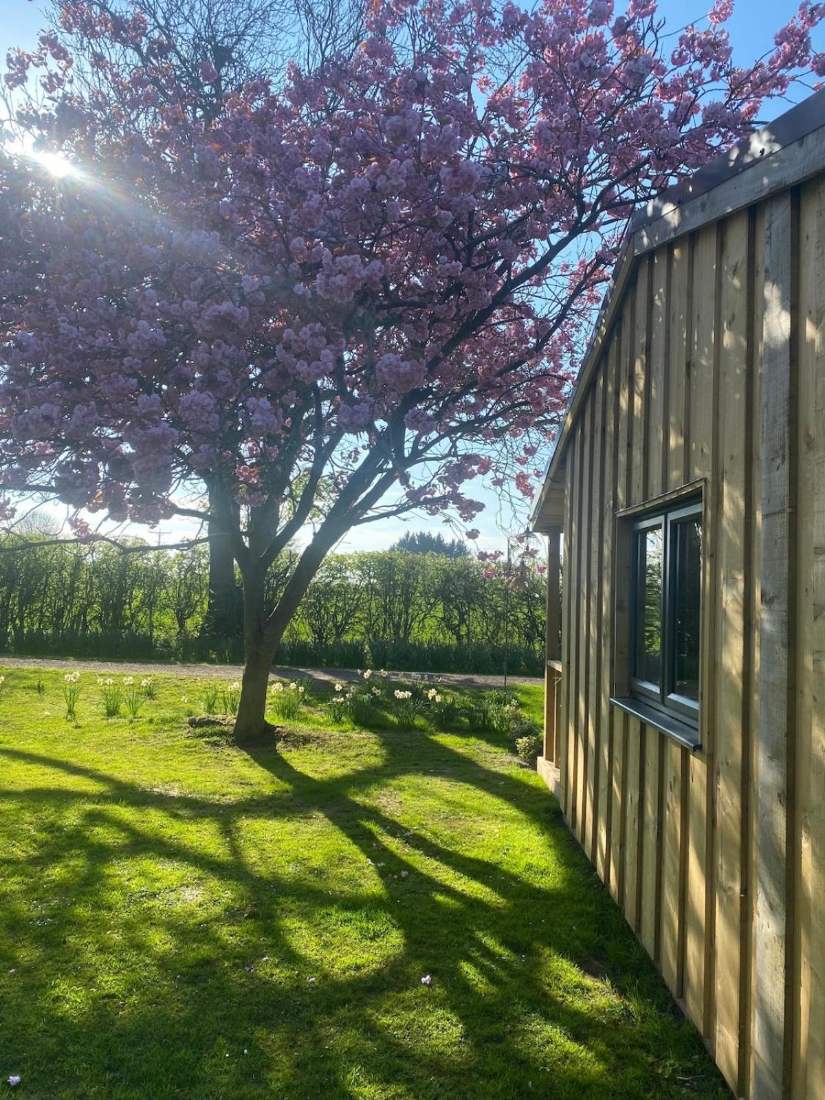 Meadows Lodge York Bagian luar foto